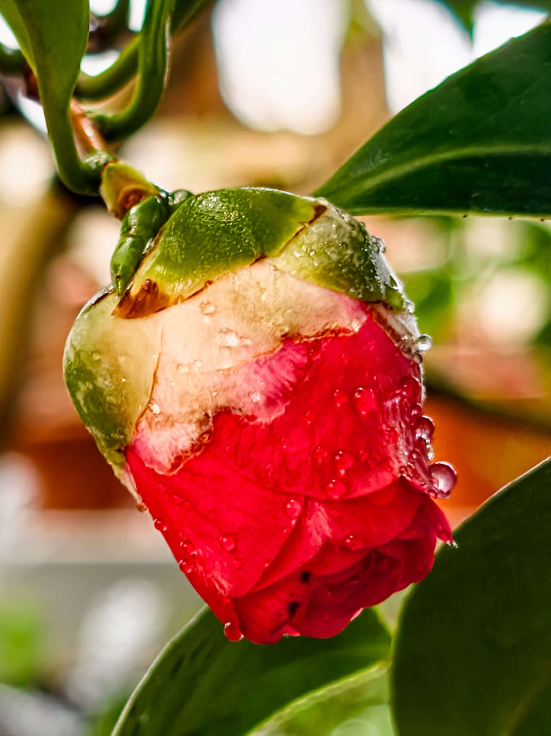 Беременная женщина чувствует легкость в воде во время сеанса ватсу